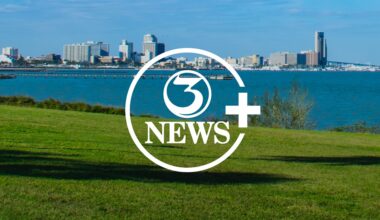 3News First Edition - Saturday