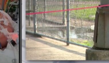 14-year-old boy hospitalized after being shocked by light pole at SE Houston park