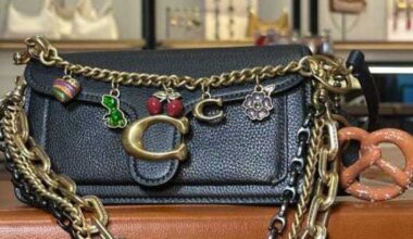 Coach to open new store in San Antonio's Alamo Quarry Market