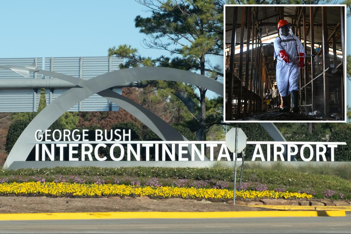 Bush Airport in Houston now 1 of 3 US entry points for Africa travelers amid Ebola outbreak