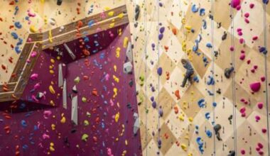 Local business Crux Climbing Center opens South Austin gym