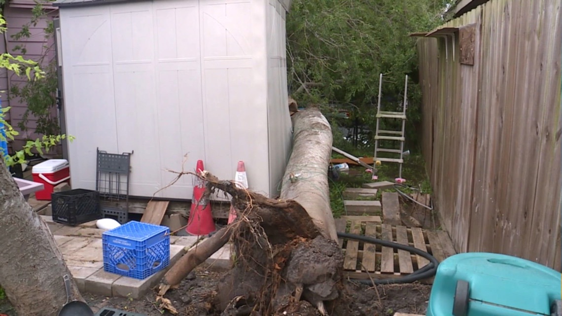 Strong winds uprooted tree in Corpus Christi neighborhood