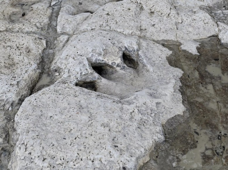 This image has an empty alt attribute; its file name is dinosaur-valley-1024x767.webp