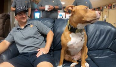 Homeless veteran and his dog find new homes after leaving his 'baby' at Fort Worth fire station