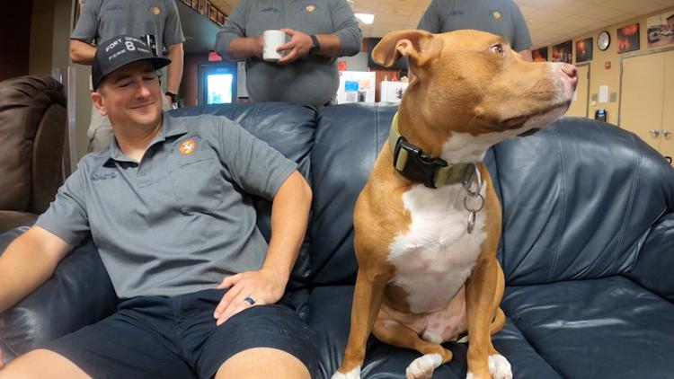 Homeless veteran and his dog find new homes after leaving his 'baby' at Fort Worth fire station