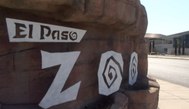 El Paso Zoo works to regain accreditation