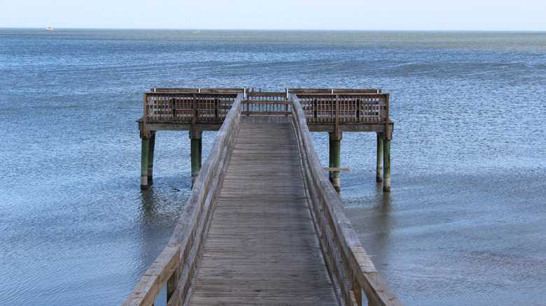 A long wooden pier jutting out over San Antonio Bay near Seadrift.
