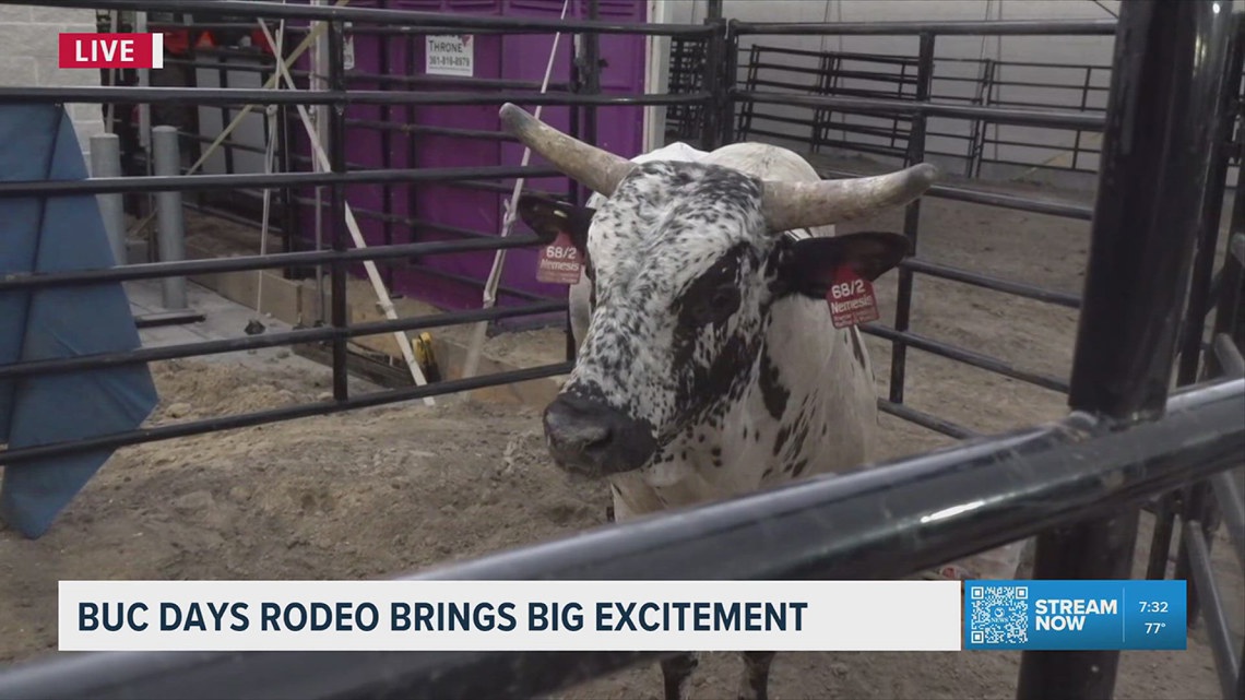 Buc Days Rodeo brings big excitement