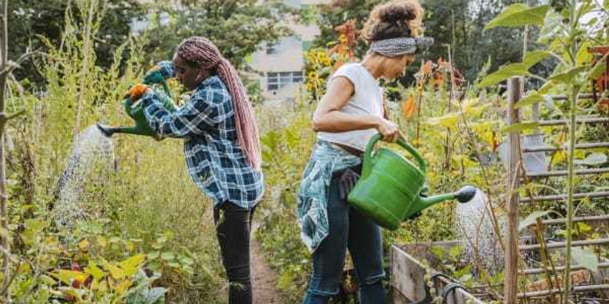 San Antonio Food Systems Summit explores city's food future