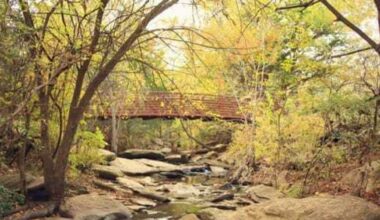 11 Dallas neighbors make US News list of best places to live