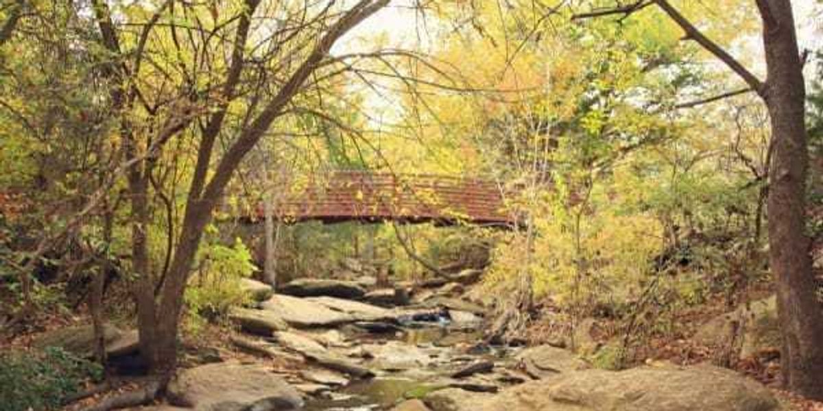 11 Dallas neighbors make US News list of best places to live