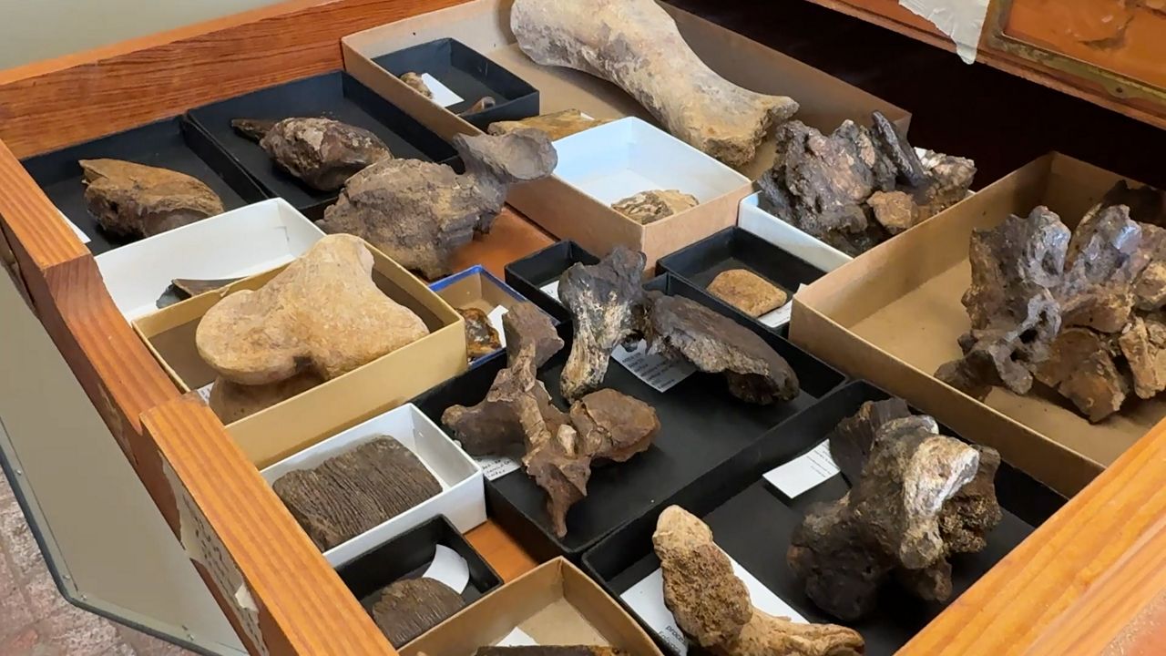 Ice Age fossils found in Central Texas cave