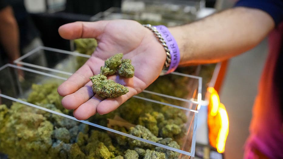 Tarek Adieh, of Tampa, Florida, looks at cannabis flower from wholesaler Dep Kings at CHAMPS Trade Show at the Palmer Events Center Thursday, Sept. 11, 2025. (Jay Janner/The Austin American-Statesman via Getty Images)