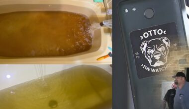 Charges dismissed against Trinidad, Texas Water Protestors as city hall closes