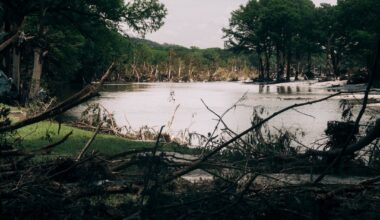 He wrote about his family’s loss in a Texas flood. His Pulitzer win is complicated.