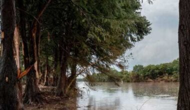 Texas writer wins Pulitzer Prize for personal story of flood