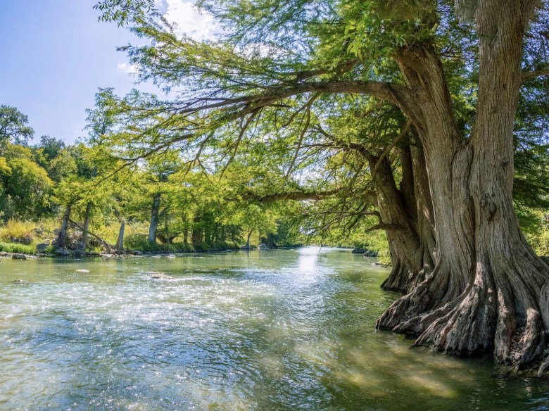 This image has an empty alt attribute; its file name is guadalupe-river-state-park-1024x767.webp