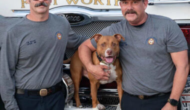 Fort Worth Star-Telegram