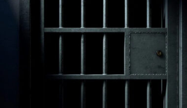 Repeat offender task force to expand to Austin