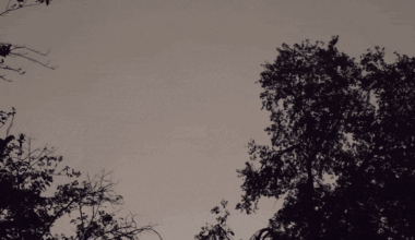 Lightning Flashes in Austin Night Sky as Severe Storms Sweep Through Texas