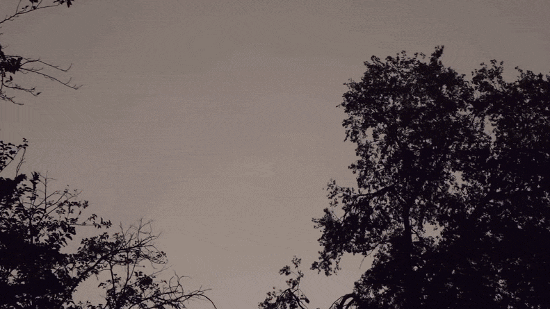 Lightning Flashes in Austin Night Sky as Severe Storms Sweep Through Texas