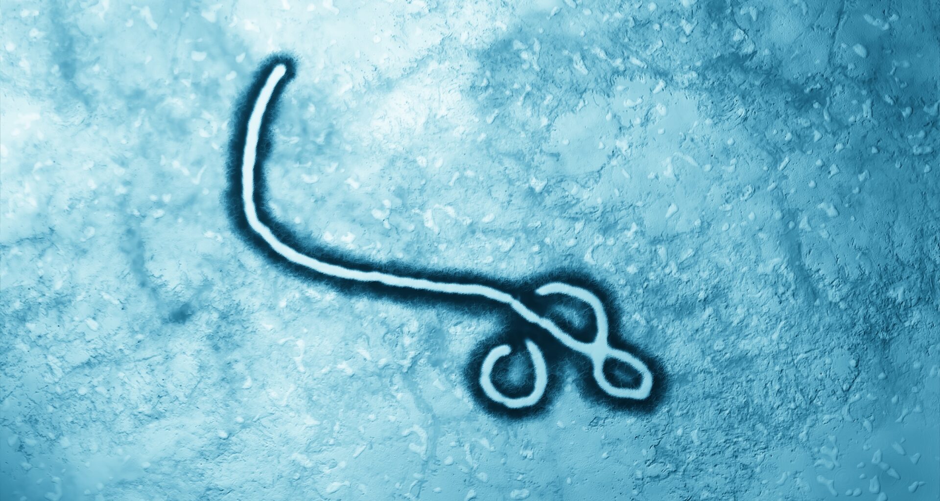 San Antonio researchers explore potential antiviral against Ebola
