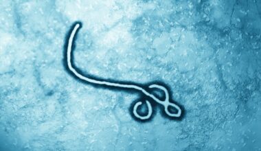 San Antonio researchers explore potential antiviral against Ebola
