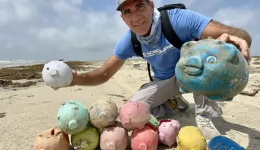 Jace Tunnell poses with some of the "sea pigs" he's found.