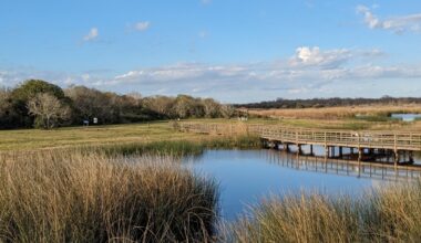 Between Houston And Corpus Christi Is A Serene Texas Nature Preserve Full Of Gulf Coast Wildlife