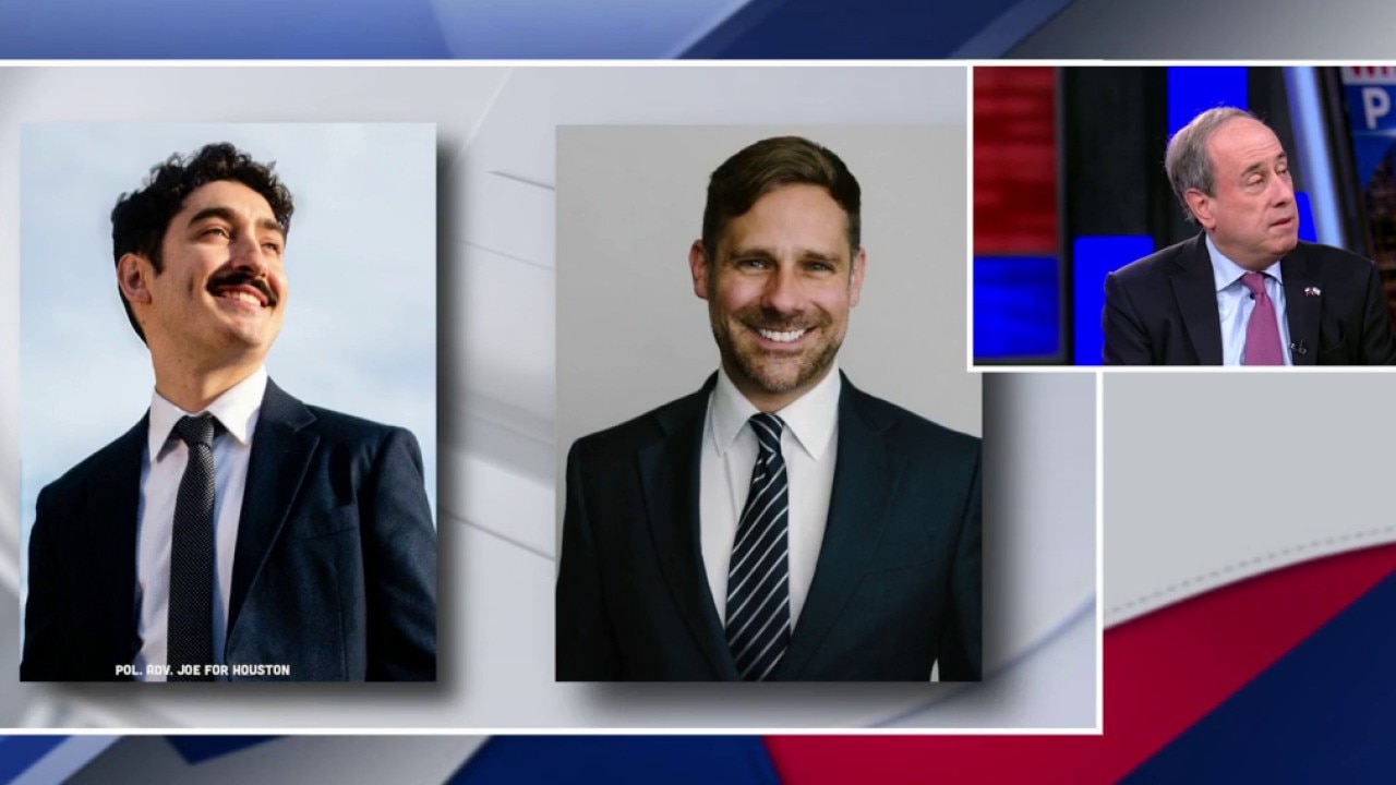  Panzarella beats Hellyar in Houston District runoff | What's Your Point?