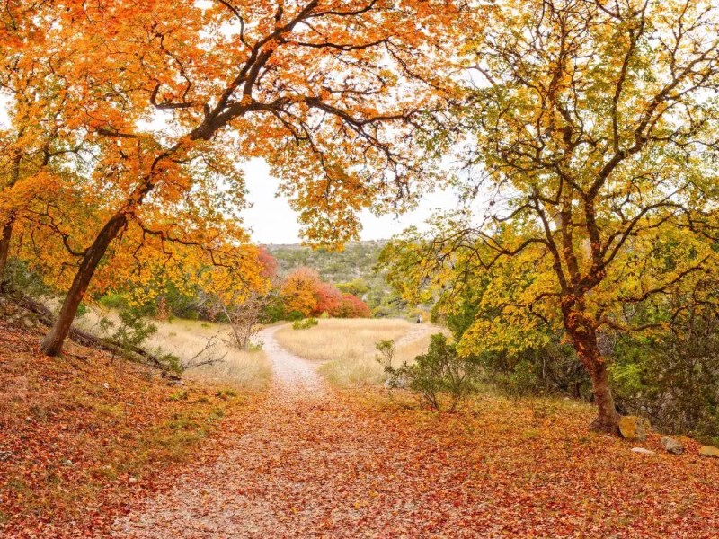 Texas State Parks to offer free day-use entrance on Nov. 5 to celebrate centennial