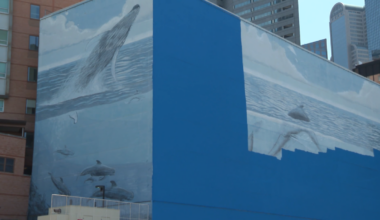 Dallas whale mural painted over for World Cup artwork – NBC 5 Dallas-Fort Worth