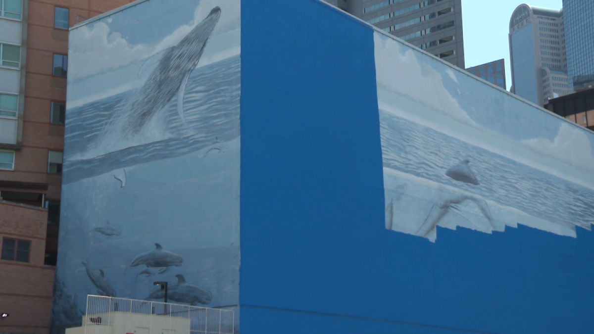 Dallas whale mural painted over for World Cup artwork – NBC 5 Dallas-Fort Worth