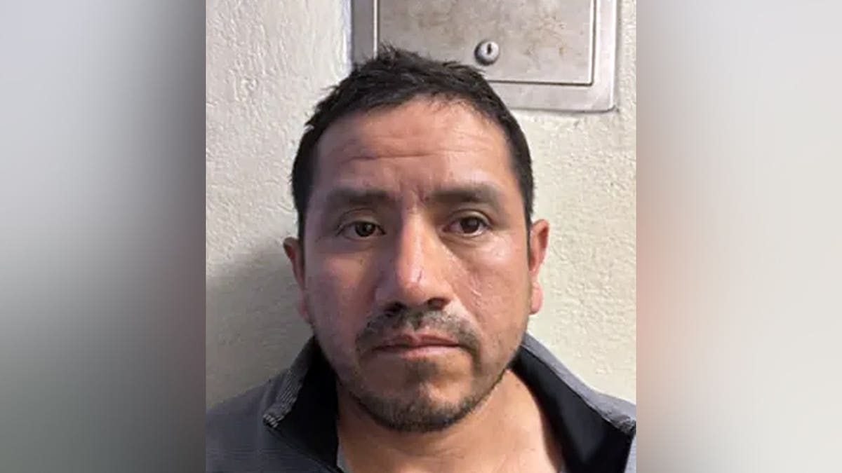 Pedro Garcia Martinez mugshot