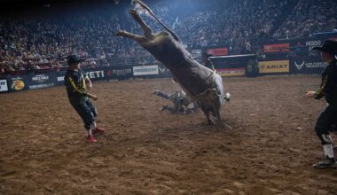 World No. 1 Pegasus and No. 2 Ransom headline bucking bull qualifiers for 2026 PBR World Finals from May 7-17 in Fort Worth