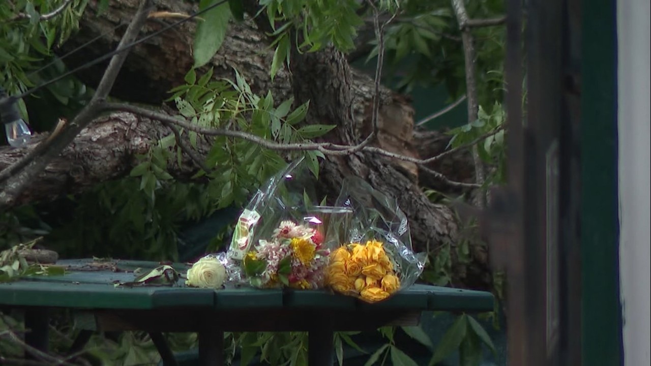 Man dies after being struck by tree during storms
