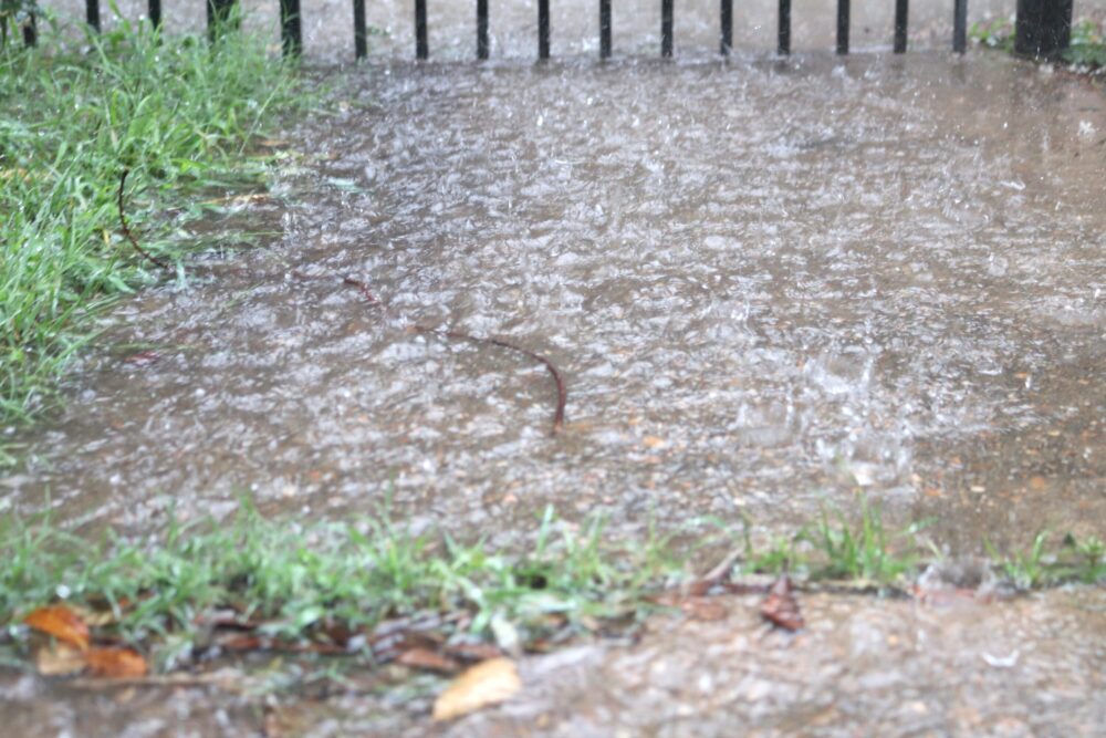 Rain Ponding Houston May 1 2026