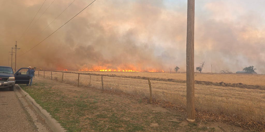 Lightning sparks Texas grass fire that has scorched more than 14,000 acres