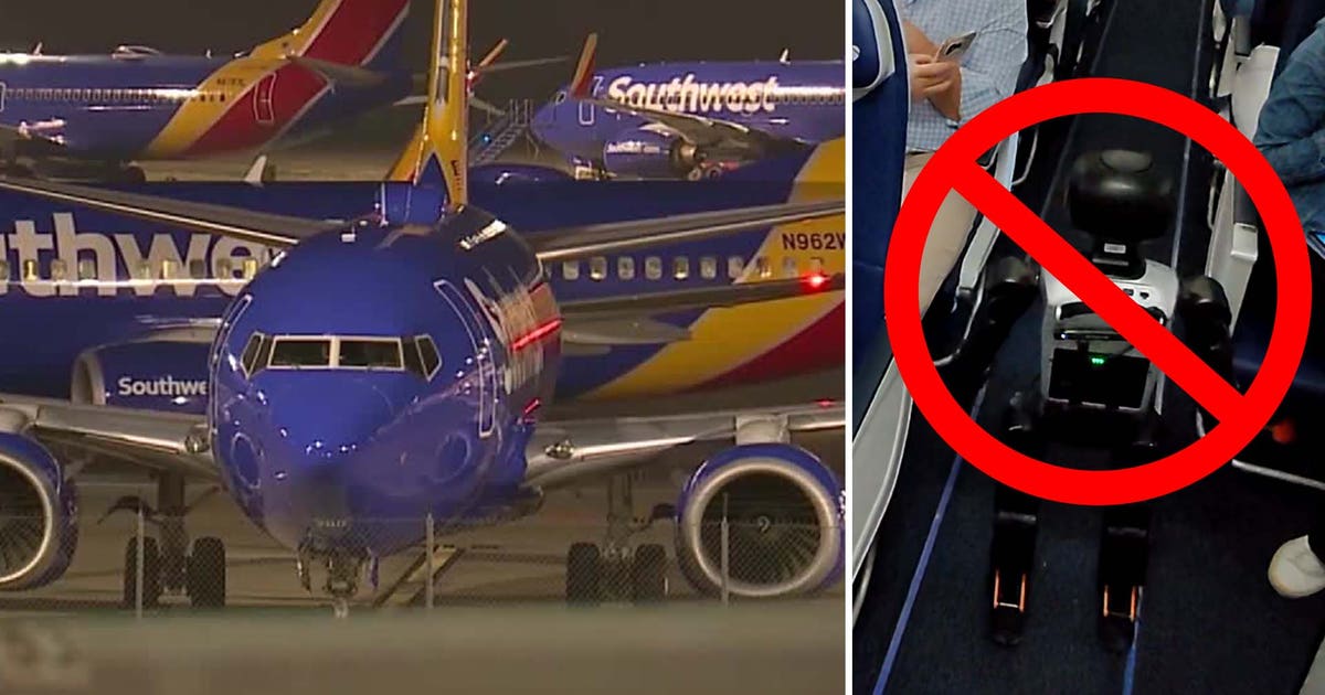 No Fly Zone: Robot passenger at Love Field prompts Southwest Airlines to ban 'bots