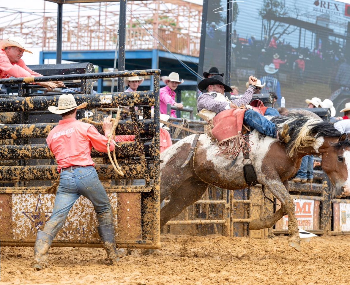 Top 10 Things To Do This Week In Plano, Frisco And Beyond - Local Profile