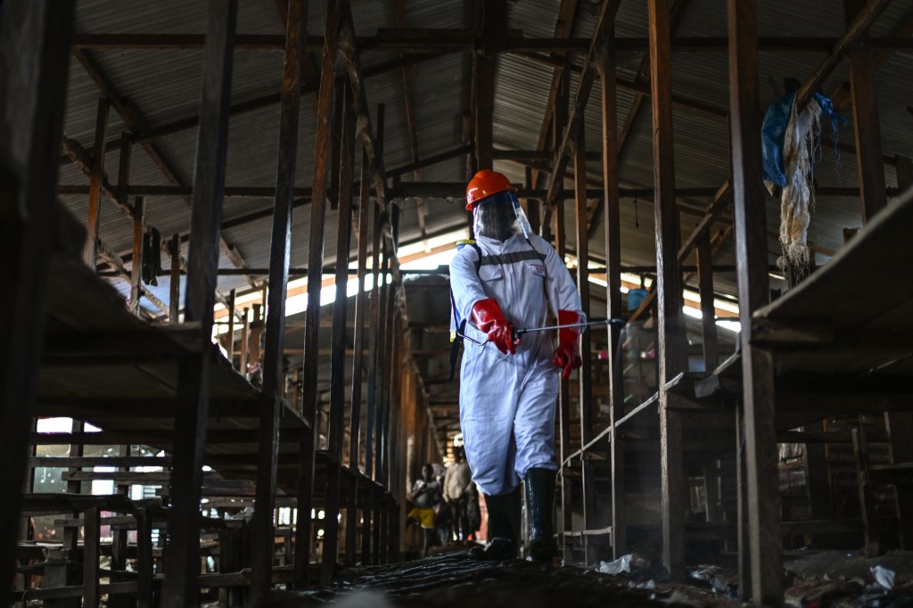 A sanitation worker sprays disinfectant in a market in Congo to combat an Ebola outbreak.