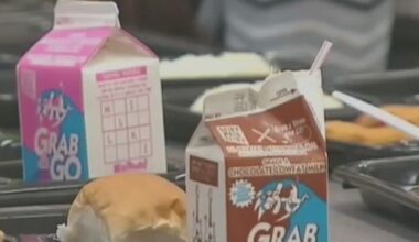 Where can my child get free meals this summer?