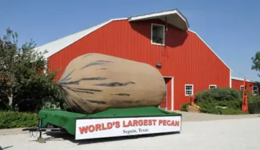 25 must-see roadside attractions and oddities in driving distance of San Antonio