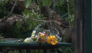 Man dies after being struck by tree hit by lightning on Austin restaurant patio