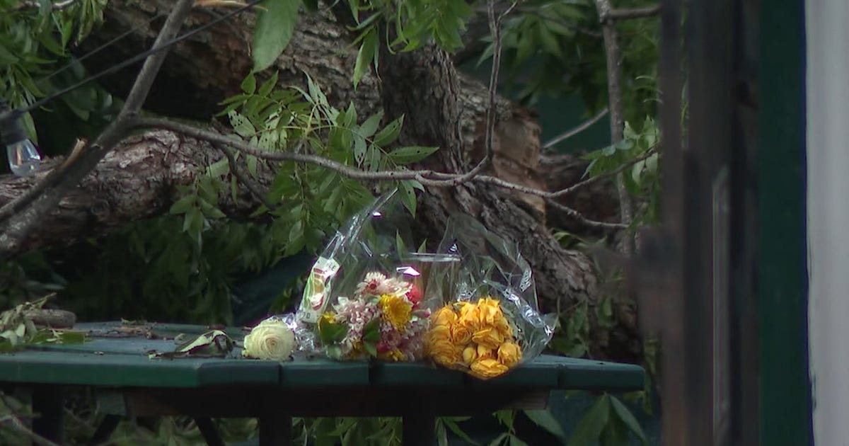 Man dies after being struck by tree hit by lightning on Austin restaurant patio