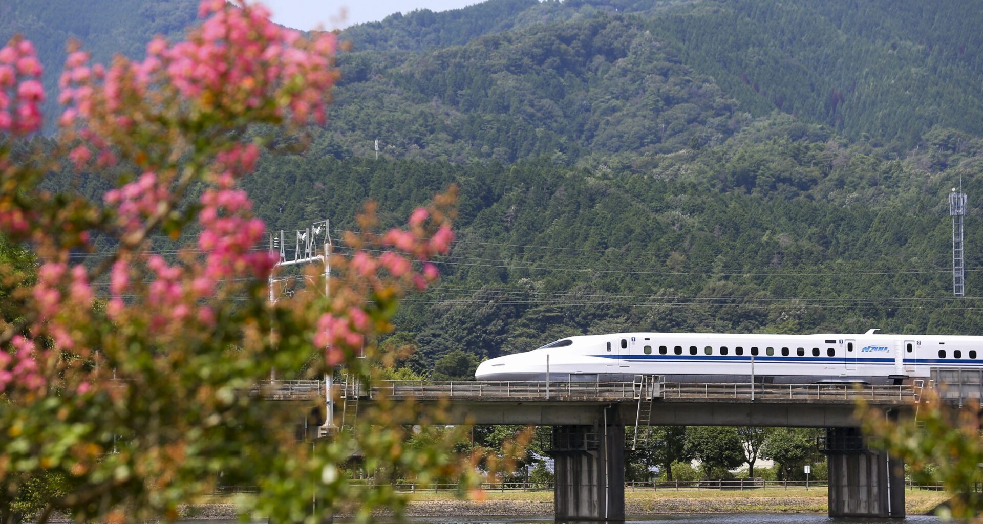 Is high-speed rail dead? Transportation officials to negotiate with Dallas on rail route
