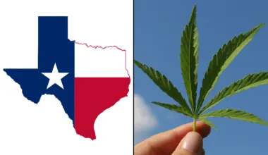 Texas Hemp Businesses Sue State Officials Over New Rules Banning Products Like Smokable THCA Flower