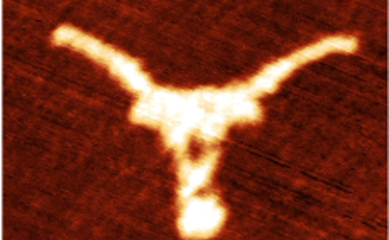 The Smallest Longhorn Ever, A Breakthrough at the Nanoscale - UT Austin News