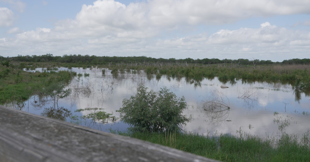 Choke Canyon Reservoir on the rise after months of drought