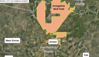 Judge grants standing to Evangeline project opponents